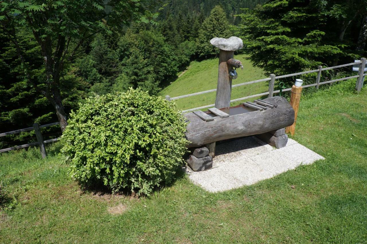 Villa Na Rebri Luče Exterior foto